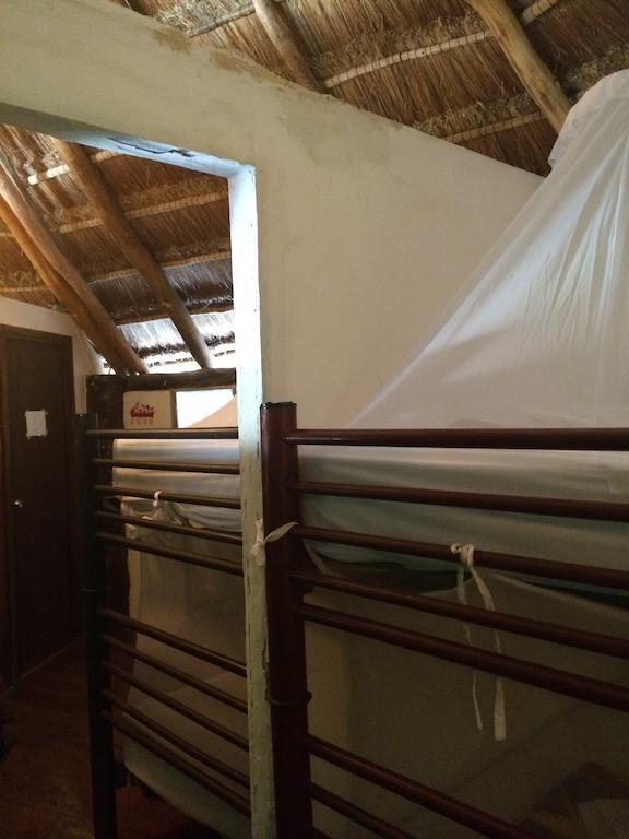 Hostel El Punto 툴룸 외부 사진